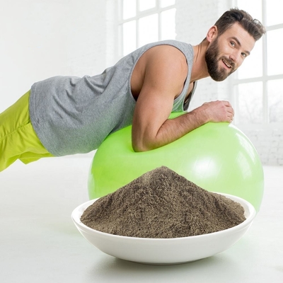 OEM Yüksek Kaliteli Organik Protein Tozu Takviyesi Kilo Alma Vegan Protein Tozu