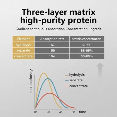 OEM/ODM Peynir Altı Suyu Protein Tozu Beslenme Tozu Fitness Egzersizi Kas Hızlı Kilo Alma Kreatin Tozu