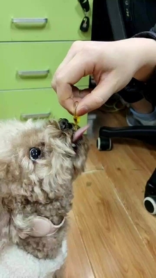 OEM Pet Sağlık Besin Takviyesi Köpekler ve Kediler İçin Balık Yağı Omega 3