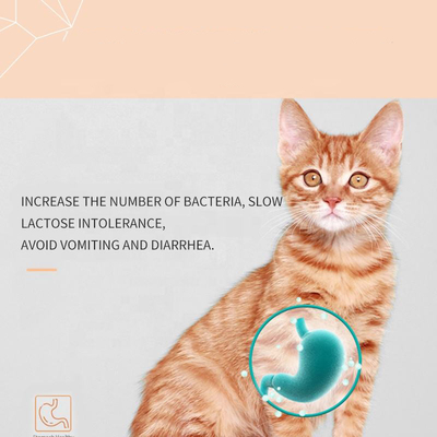 Kittens OEM Kedi Süt Takviyesi Pet Sağlık Takviyeleri