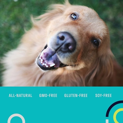 Multivitaminler Evcil Hayvan Besin Takviyeleri Tahılsız Köpekler İçin OEM Günlük Probiyotik Takviyesi