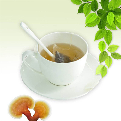 OEM Ganoderma Lucidum Mantar Lingzhi Yeşil Çay Poşeti Anında Bitkisel Sağlık Detoks Çayı