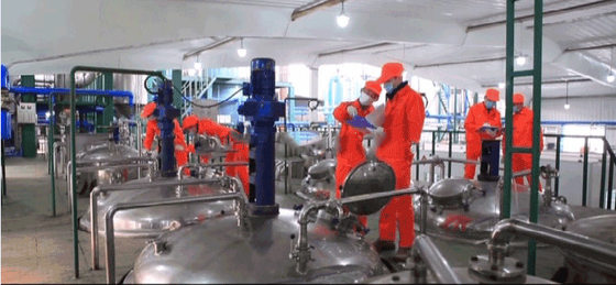 10g / Gün OEM Balık Kollajen Peptit Granülleri Yüksek Protein Besin Takviyesi
