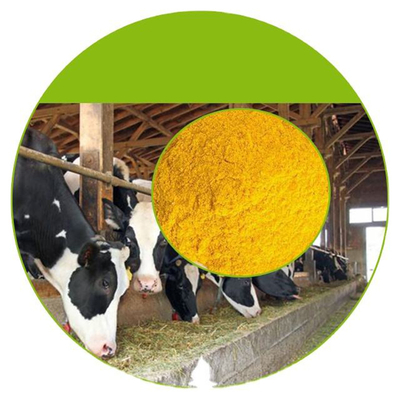 E Vitamini Yağı Kadın Erkek Ve Kadın Sağlığı İçin Besin Takviyeleri