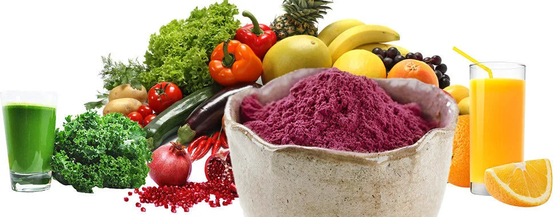 Üretici Tedarikçi Sıcak Satış Suda çözünür Anlık Elderberry Suyu Tozu Meyve Tozu